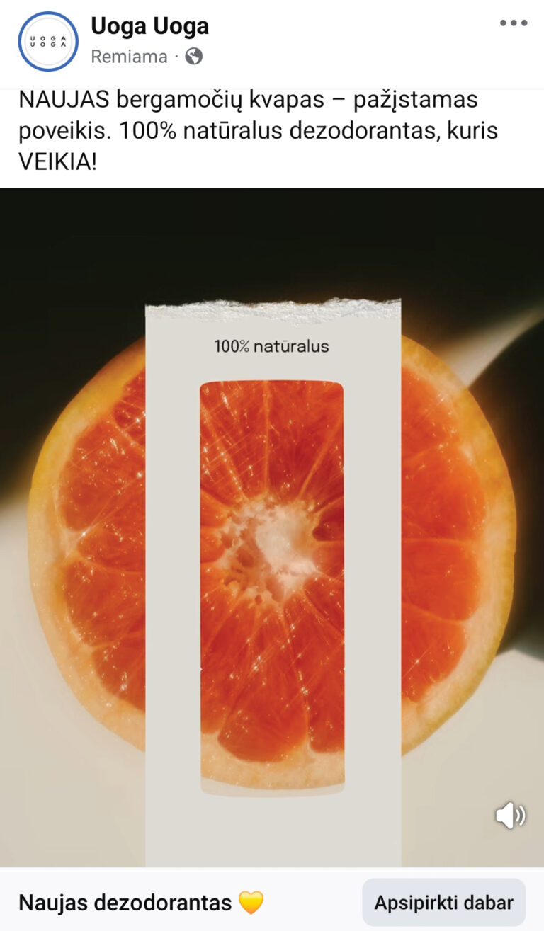 Uoga uoga Facebook reklamos analizė